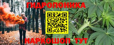 дмт Волжский