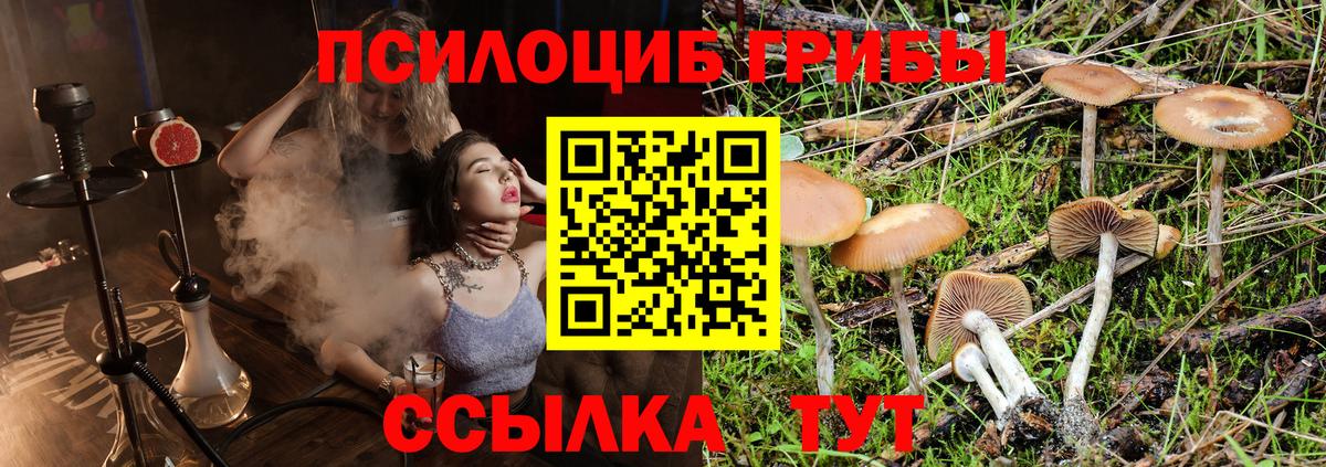 Галлюциногенные грибы прущие грибы  Вход с VPN  Иваново  Галлюциногенные грибы мицелий 