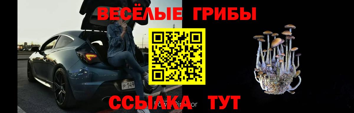 Галлюциногенные грибы ЛСД Иваново
